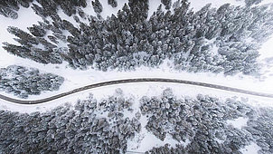 Bird eye’s view!, by Kimon Maritz